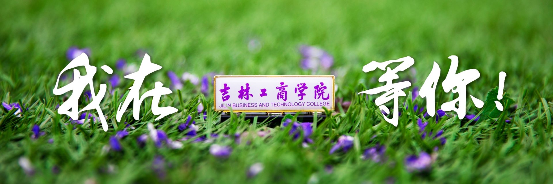 学校概况